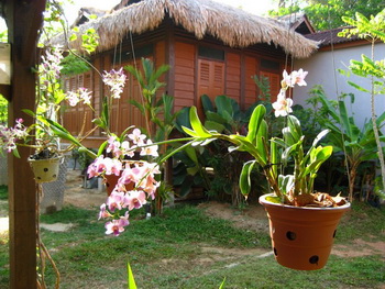 Langkawi, Villa Molek